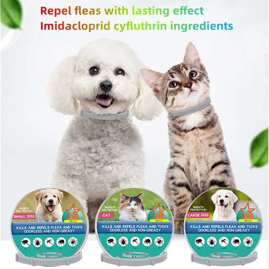 Natural Flea & Tick Collar Cats – 8-Month Protection | Waterproof, Adjustable, Non-Toxic