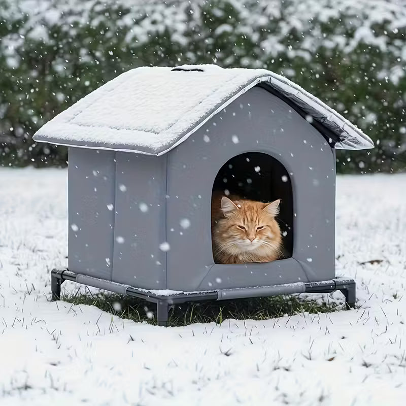 How to Help Stray Cats Survive Winter - And Simple Ways You Can Make a Real Difference