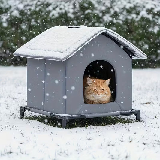 How to Help Stray Cats Survive Winter - And Simple Ways You Can Make a Real Difference