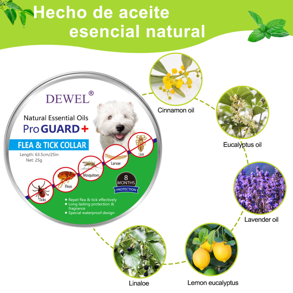 Hochwertiges natürliches Floh- und Zeckenhalsband für Katzen – 8 Monate Schutz | Von Tierärzten empfohlen, mit ätherischen Ölen, sicher und ungiftig