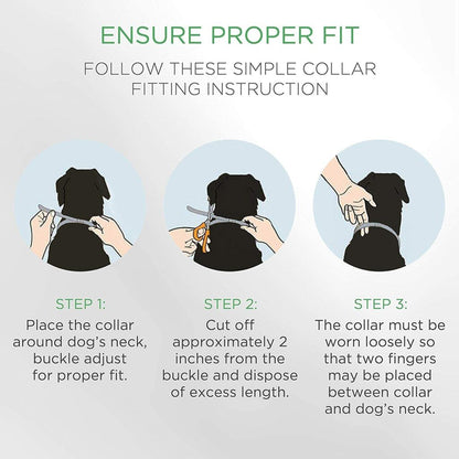 Hochwertiges natürliches Floh- und Zeckenhalsband für Katzen – 8 Monate Schutz | Von Tierärzten empfohlen, mit ätherischen Ölen, sicher und ungiftig