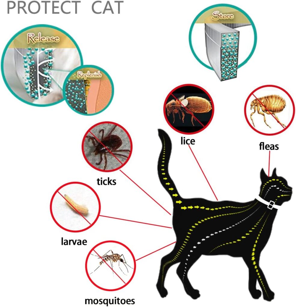 Hochwertiges natürliches Floh- und Zeckenhalsband für Katzen – 8 Monate Schutz | Von Tierärzten empfohlen, mit ätherischen Ölen, sicher und ungiftig