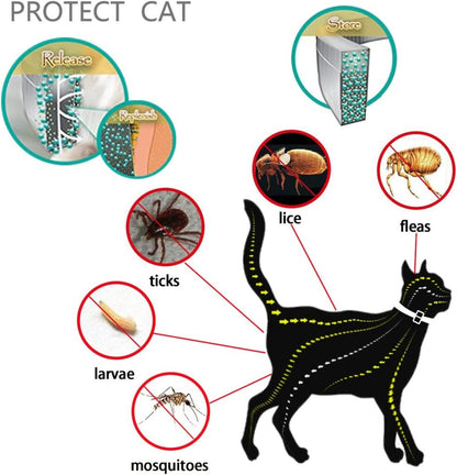 Hochwertiges natürliches Floh- und Zeckenhalsband für Katzen – 8 Monate Schutz | Von Tierärzten empfohlen, mit ätherischen Ölen, sicher und ungiftig