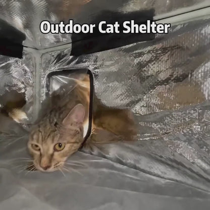 Abri extérieur chauffant haut de gamme pour chat, étanche